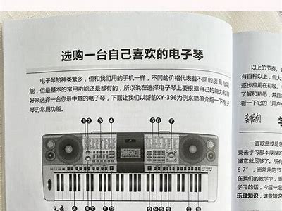 成人电子琴免费教程第九课