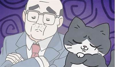 小猫变成人日剧免费在线观看